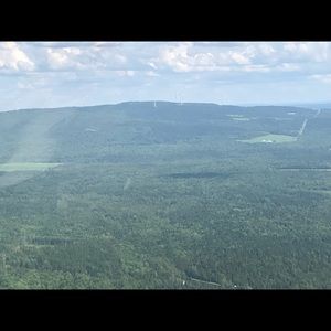 Meet your Posher, Carol-ann